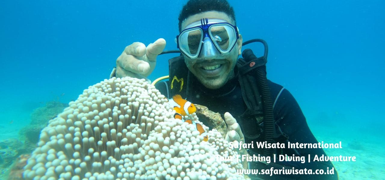 best time to visit pulau weh
