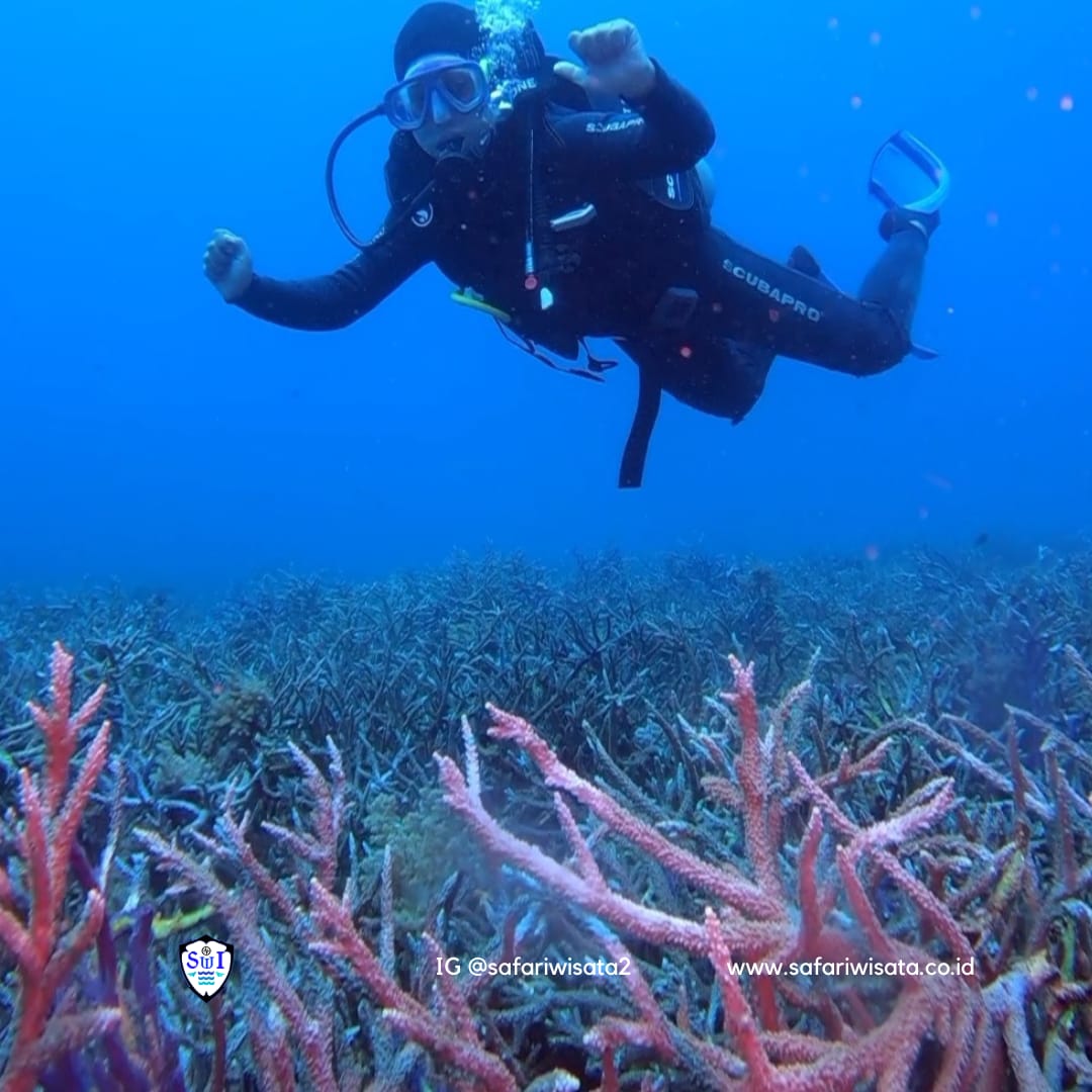 Pulau Weh Sabang: Surga Wisata Bahari di Ujung Barat Indonesia ...